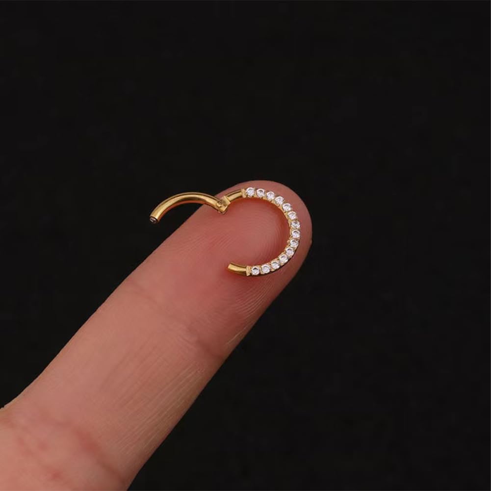 Nose Ring Hinged Segment Ear C - Septum Clicker Ring incelemesi ve fiyatı